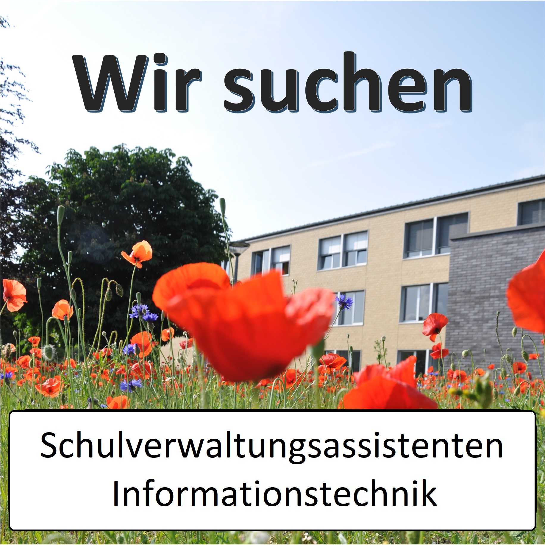 Wir suchen Schulverwaltungsassistenten